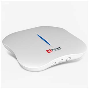 WIFI/PSTN双网报警器